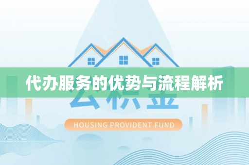 保康代办服务的优势与流程解析