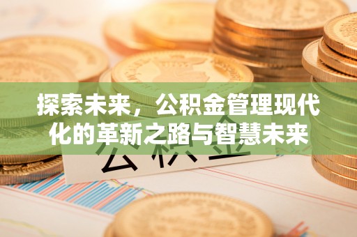 保康探索未来，公积金管理现代化的革新之路与智慧未来