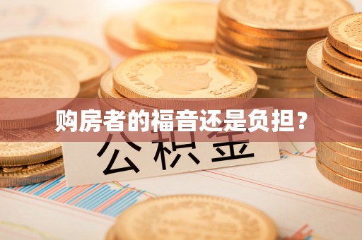 保康购房者的福音还是负担？