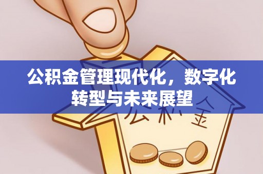 保康公积金管理现代化，数字化转型与未来展望