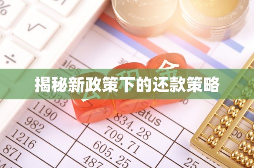 保康揭秘新政策下的还款策略