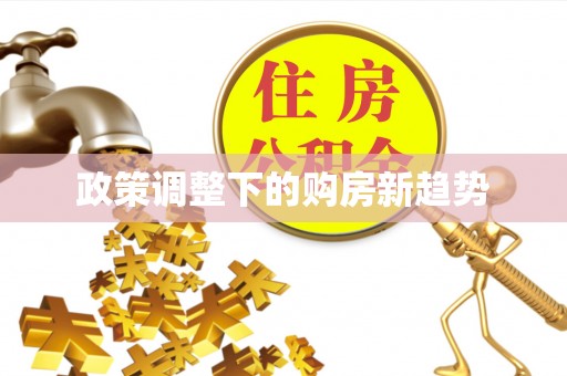 保康政策调整下的购房新趋势