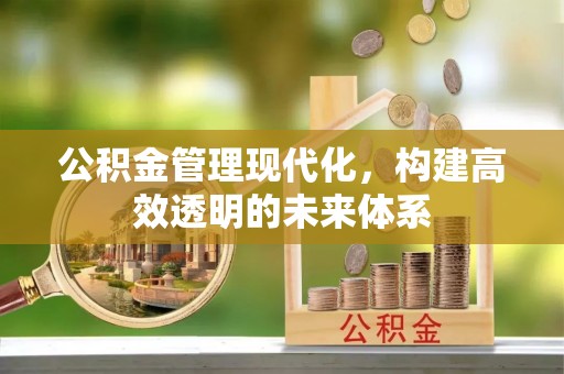 保康公积金管理现代化，构建高效透明的未来体系