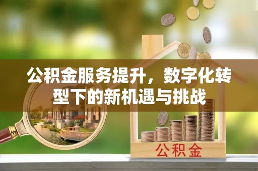 保康公积金服务提升，数字化转型下的新机遇与挑战