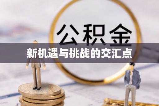 保康新机遇与挑战的交汇点