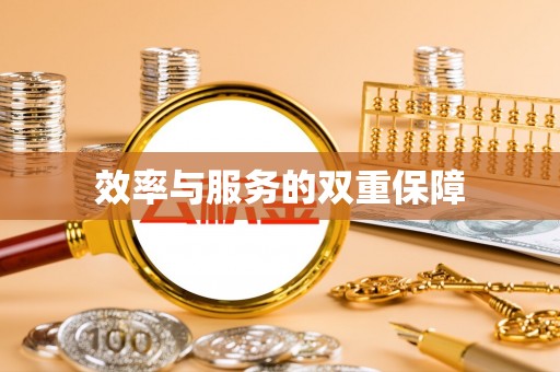 保康效率与服务的双重保障