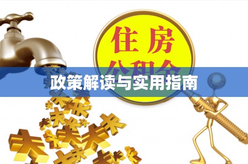 保康政策解读与实用指南