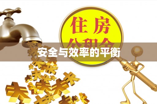 保康安全与效率的平衡