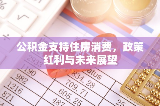 保康公积金支持住房消费，政策红利与未来展望