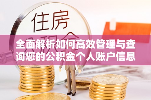 保康全面解析如何高效管理与查询您的公积金个人账户信息