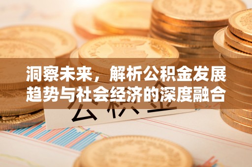保康洞察未来，解析公积金发展趋势与社会经济的深度融合