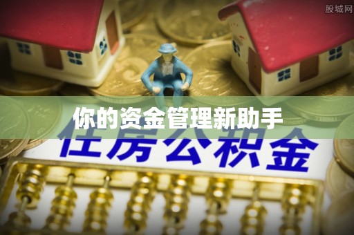 保康你的资金管理新助手