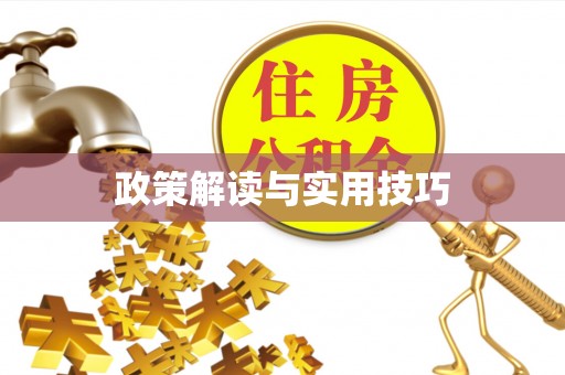 保康政策解读与实用技巧