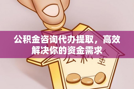 保康公积金咨询代办提取，高效解决你的资金需求