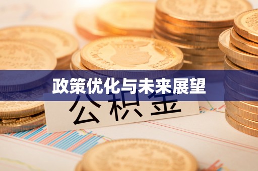保康政策优化与未来展望