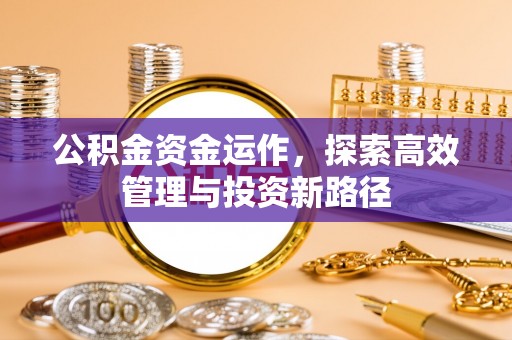 保康公积金资金运作，探索高效管理与投资新路径