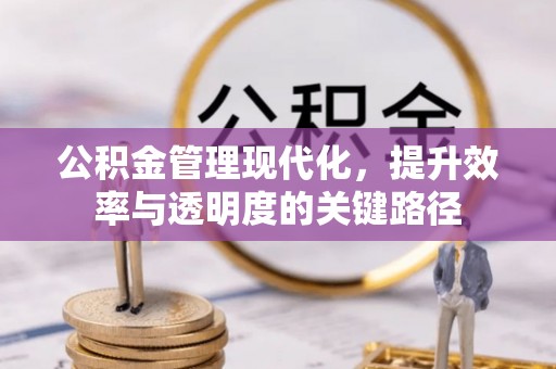 保康公积金管理现代化，提升效率与透明度的关键路径