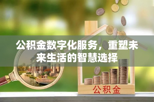 保康公积金数字化服务，重塑未来生活的智慧选择