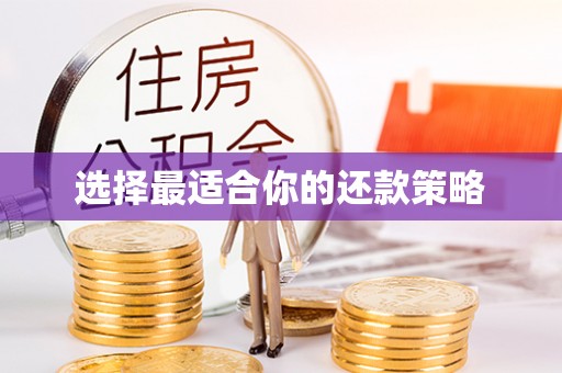 保康选择最适合你的还款策略