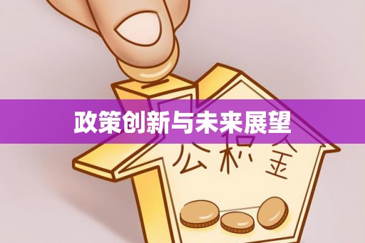 保康政策创新与未来展望