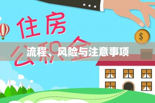 保康流程、风险与注意事项